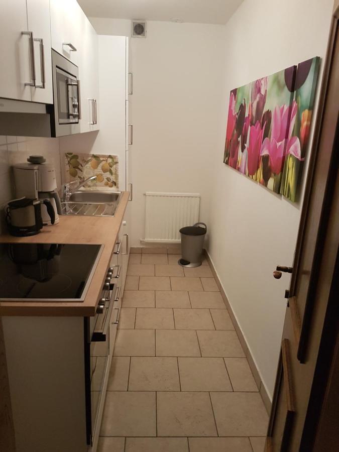 Apartments Spiegl Holzmann Бишофсхофен Экстерьер фото