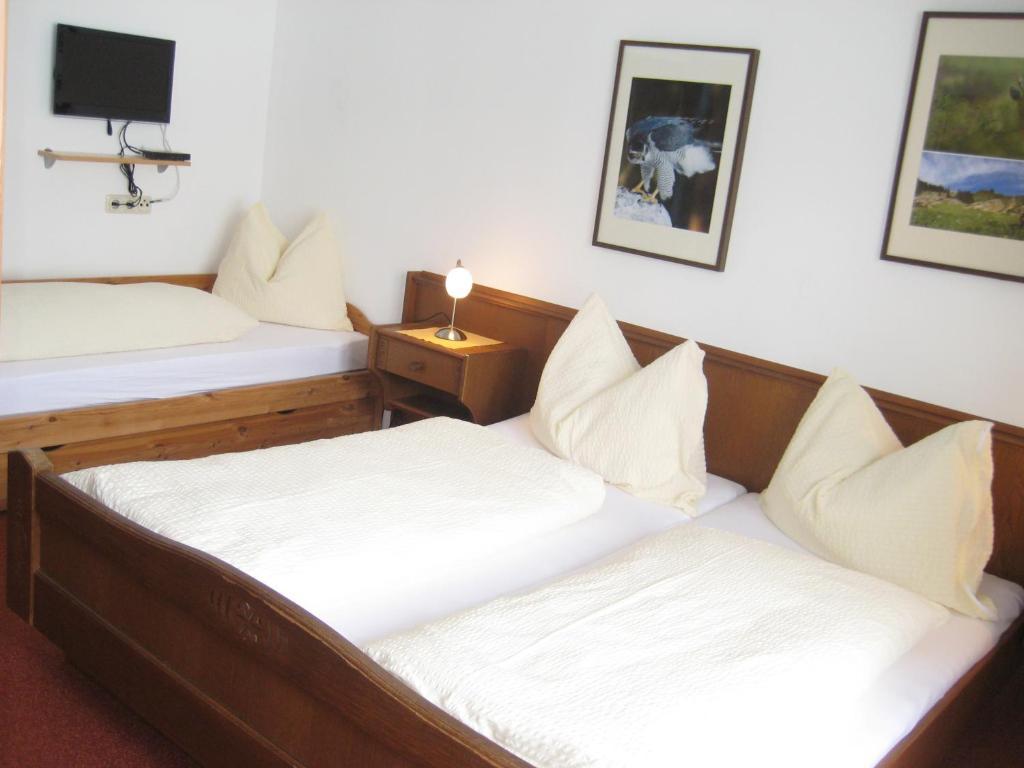 Apartments Spiegl Holzmann Бишофсхофен Номер фото